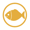 May Contain Fish
