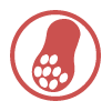 Contains Peanuts